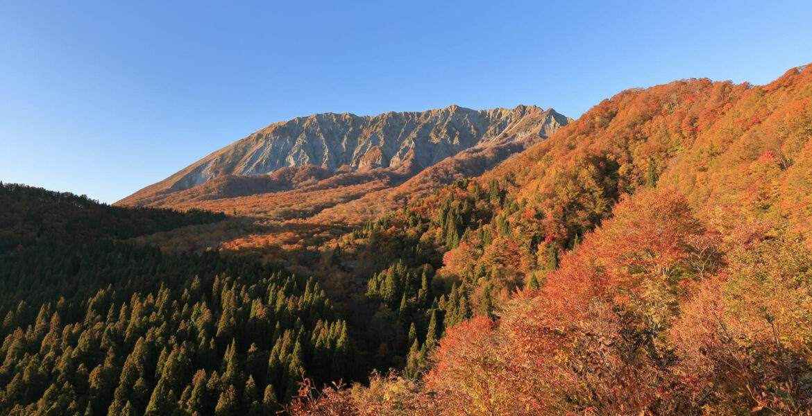 秋の山で金運アップ？自然がもたらす恩恵